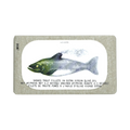 Jose Gourmet | Premium - Filets de truite fumée à l'huile d'olive extra vierge